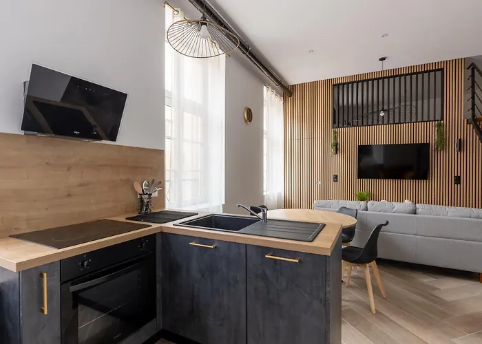 L'envol De Lysa - Hypercentre - 4p *